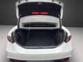 Alfa Romeo Giulia MY23 Veloce 2.0 Turbo 16V 206kW AT Weiß - thumbnail 11