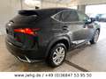 Lexus NX 300 LED 17" Navi Vollleder Tempo Kamera Schwarz - thumbnail 4
