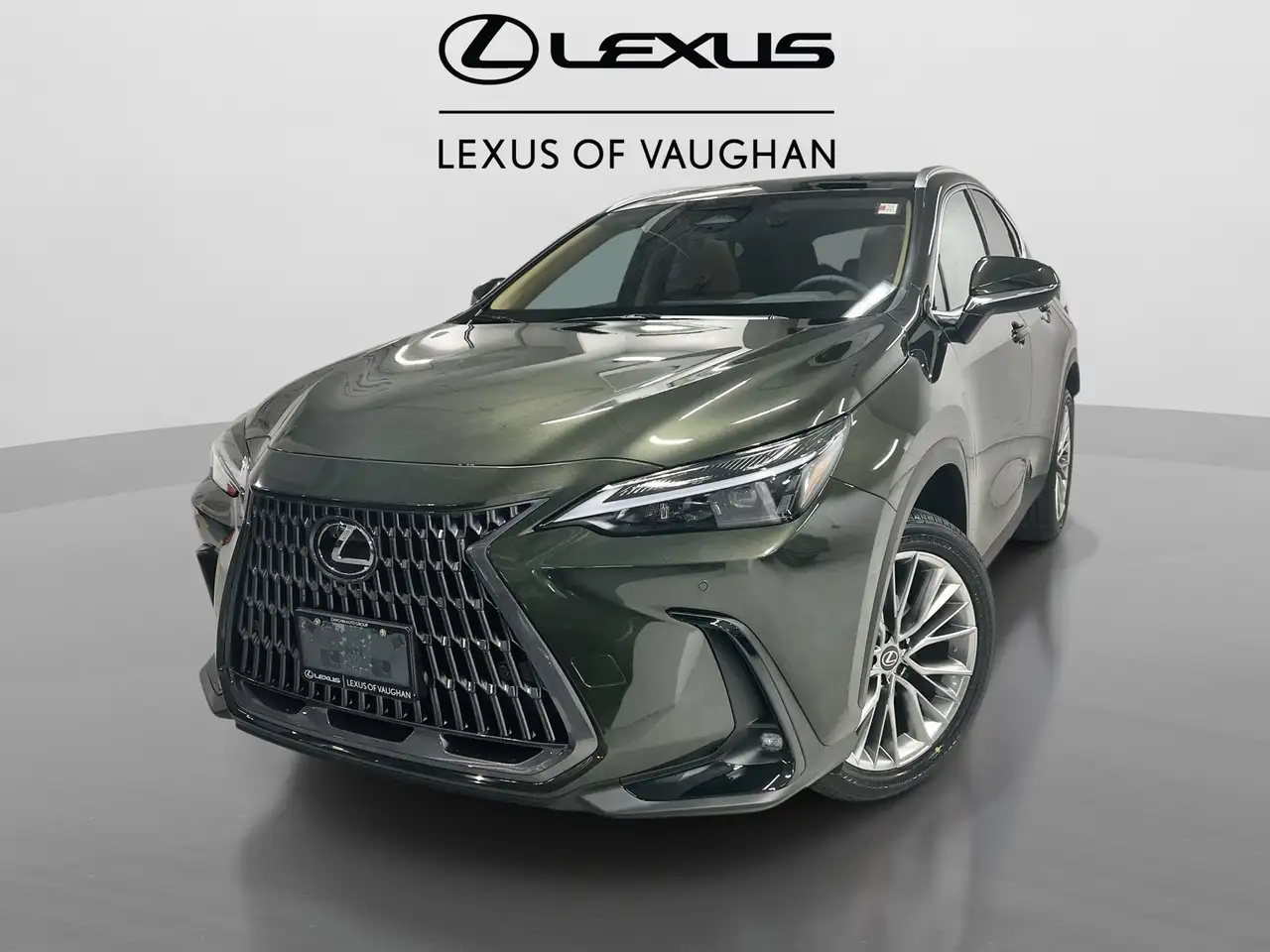 2026 Lexus NX