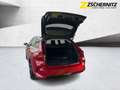 Opel Astra L ST 1.6 Turbo PHEV Navi Kamera PDC SHZ Rot - thumbnail 6