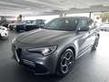 Alfa Romeo Stelvio 2.2 TD 160 CV AT8 Sport-Tech Grigio - thumbnail 6