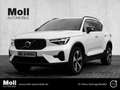 Volvo XC40 Plus Dark 2WD B3 EU6d digitales Cockpit Memory Sit Weiß - thumbnail 1