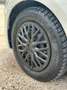 Volkswagen Polo Polo 1.2 70 CV 5p. Comfortline Blanco - thumbnail 20