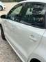 Volkswagen Polo Polo 1.2 70 CV 5p. Comfortline Blanco - thumbnail 12