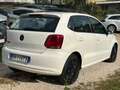 Volkswagen Polo Polo 1.2 70 CV 5p. Comfortline Blanco - thumbnail 7
