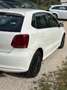 Volkswagen Polo Polo 1.2 70 CV 5p. Comfortline Blanco - thumbnail 6
