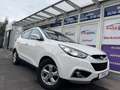 Hyundai iX35 *Navi*Panorama*Leder*Tem*Kamera*PDC*MFL* Weiß - thumbnail 1