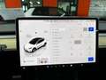 Tesla Model Y Tracción Trasera RWD Blanco - thumbnail 15
