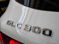 Mercedes-Benz SLC 300 GLC 4MATIC Blanco - thumbnail 17
