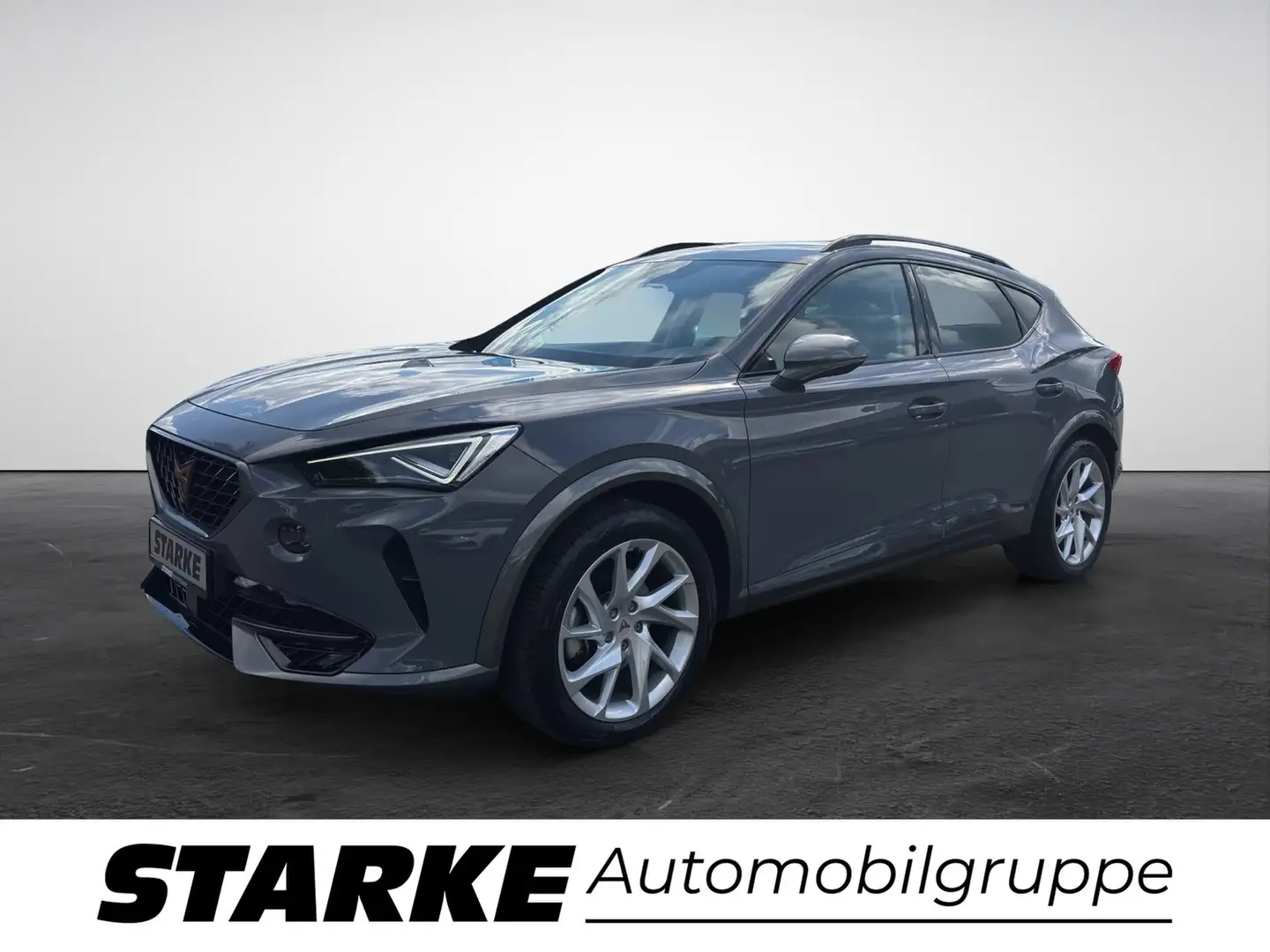 CUPRA Formentor 1.5 TSI DSG Grau - 2