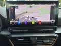 CUPRA Formentor 1.5 TSI DSG Grau - thumbnail 15