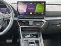 CUPRA Formentor 1.5 TSI DSG Grau - thumbnail 11