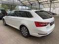 Skoda Superb Combi 1.4 TSI  Ambition|DSG|AHK|ACC|LED Weiß - thumbnail 4