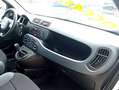 Fiat Panda 1.2 Easy Power 69Cv Easy   GPL!!!!! Bianco - thumbnail 12