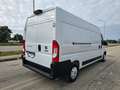 Fiat Ducato 33 2.3 MJT 140CV L3H2 Furg.Maxi Bianco - thumbnail 6