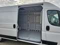 Fiat Ducato 33 2.3 MJT 140CV L3H2 Furg.Maxi Bianco - thumbnail 4