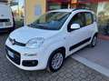 Fiat Panda Panda 1.2 Lounge Bianco - thumbnail 1