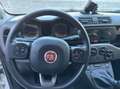 Fiat Panda Panda 1.2 Lounge Bianco - thumbnail 5