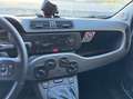 Fiat Panda Panda 1.2 Lounge Bianco - thumbnail 6