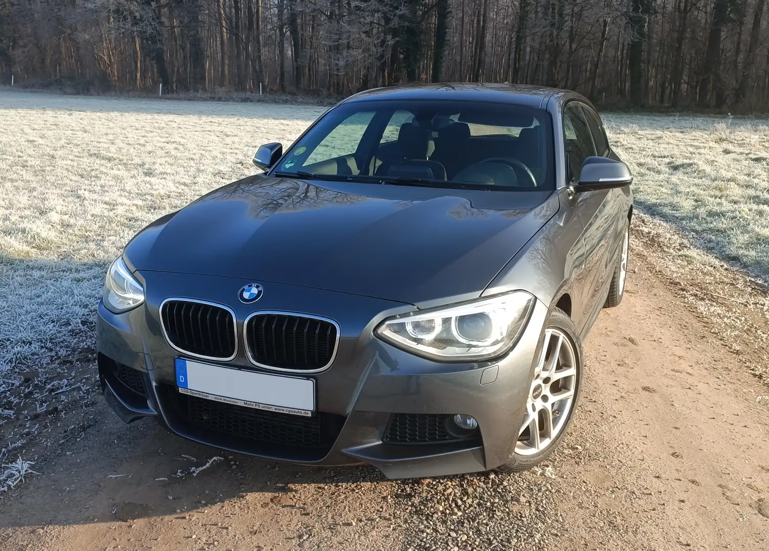 BMW 120 120d - Automatik M Sportpaket Alcantara AHK Xenon Grau - 1