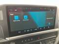 Volkswagen T7 Transporter VW Transporter T7 Kastenwagen LR TDI Weiß - thumbnail 24
