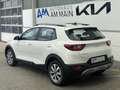 Kia Stonic 1.0T DCT VISION | NAVI | KAMERA | PDC Weiß - thumbnail 4