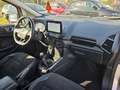 Ford EcoSport 1.5 Ecoblue 100 CV Start&Stop ST-Line Grigio - thumbnail 12