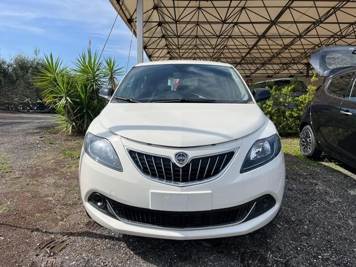 Lancia Ypsilon 1.0 FireFly 5 porte S&S Hybrid Platino White - 2