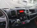 Fiat Ducato 2.3 Mjt 130cv cassonato euro6 Rouge - thumbnail 12