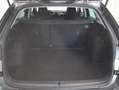 Skoda Octavia Essence TDI Grau - thumbnail 11
