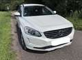 Volvo XC60 XC60 Diesel D4 Momentum Automatik Weiß - thumbnail 1