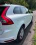 Volvo XC60 XC60 Diesel D4 Momentum Automatik Weiß - thumbnail 5