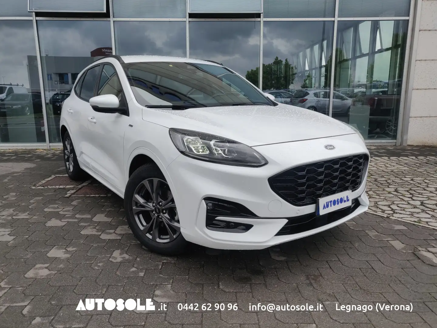 Ford Kuga 1.5 Ecoblue ST-Line X 2WD Automatica Bianco - 1