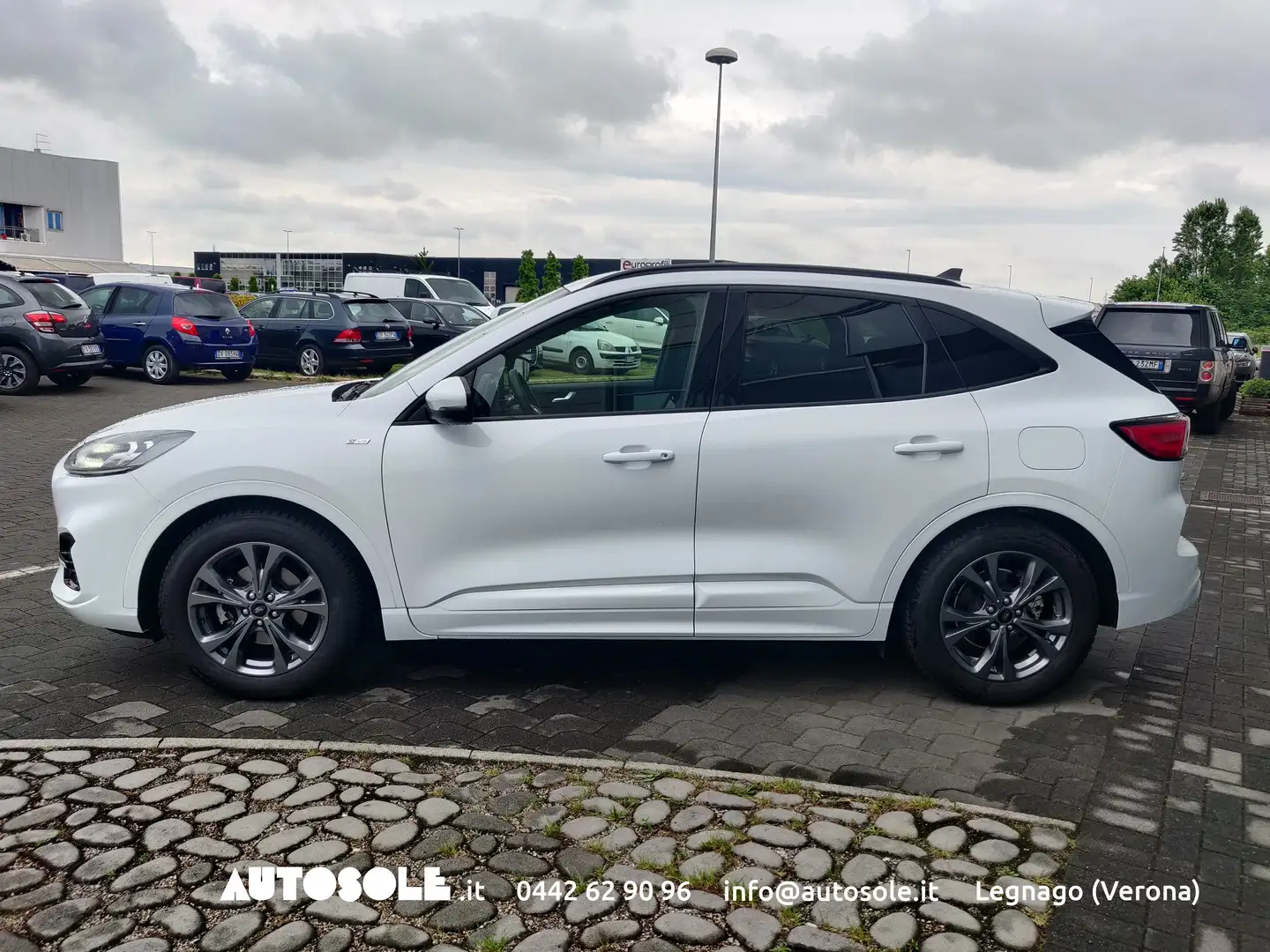 Ford Kuga 1.5 Ecoblue ST-Line X 2WD Automatica Bianco - 2