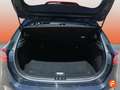 Kia Ceed / cee'd JBL Sound Edition 1.5 T-GDI 160cv Auto Amarillo - thumbnail 16