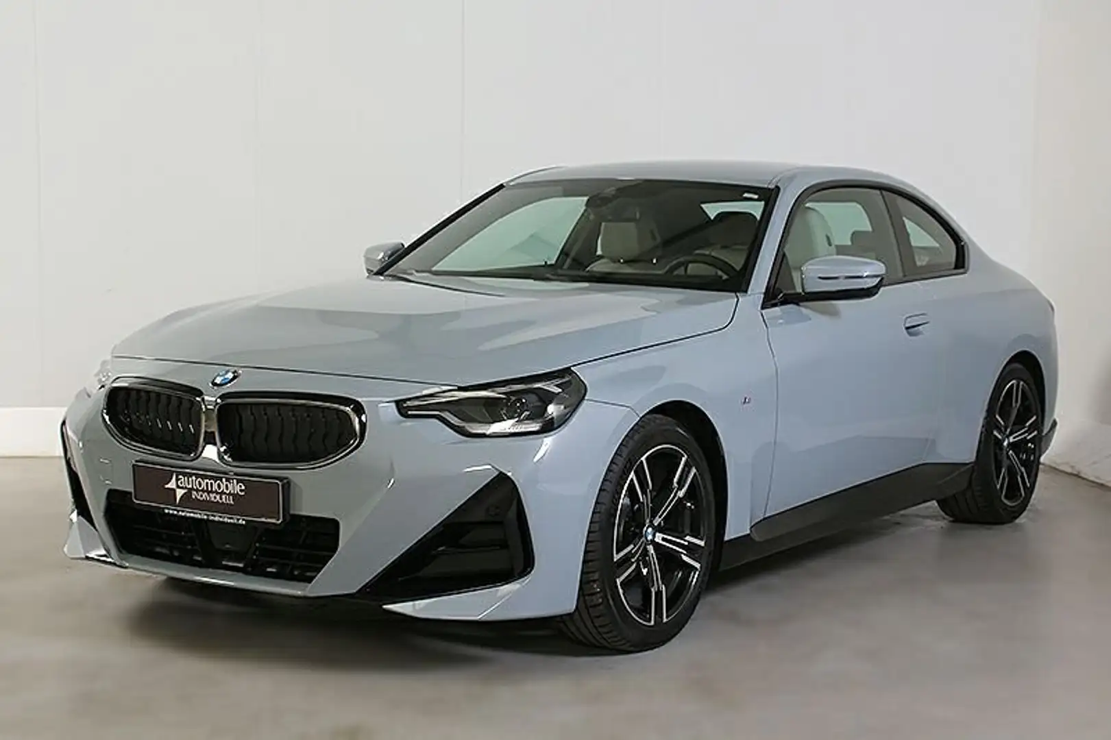 BMW 218 i Coupé M Sportpaket Widescreen LED DAB Leder Grau - 2