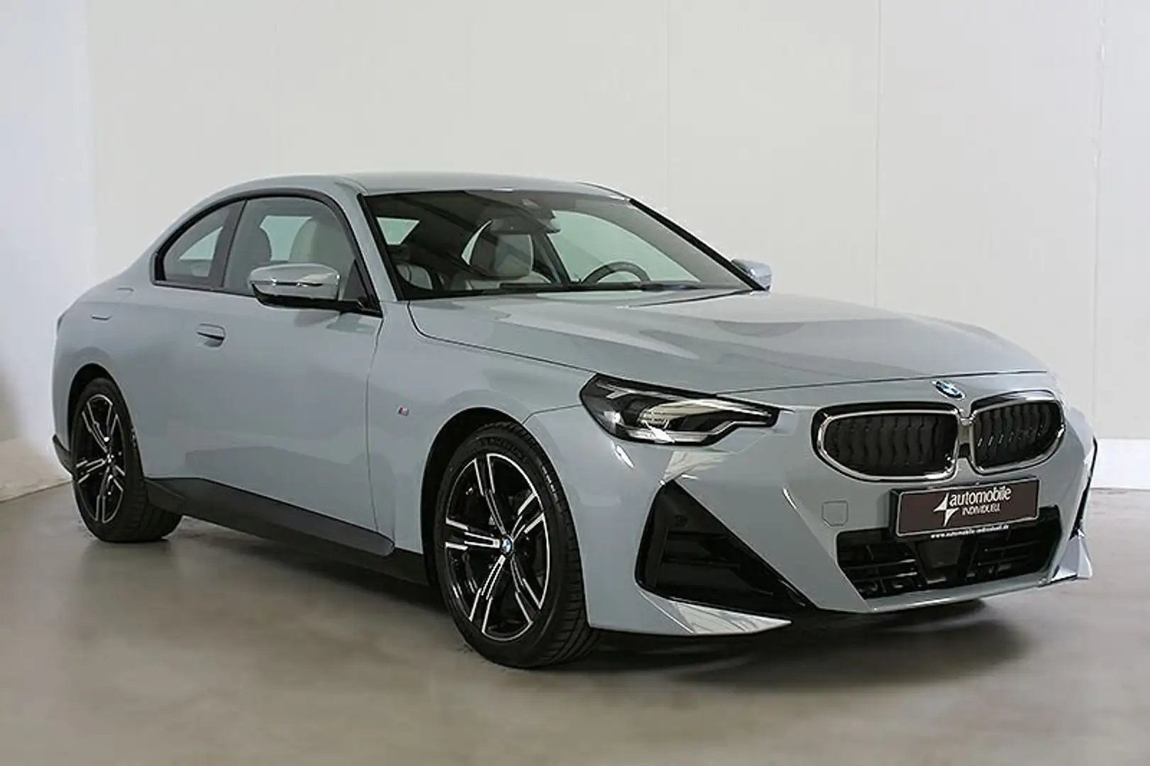BMW 218 i Coupé M Sportpaket Widescreen LED DAB Leder Gris - 2