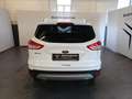Ford Kuga 2.0 TDCI 140 CV 4WD Powershift Titanium White - thumbnail 5