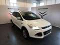 Ford Kuga 2.0 TDCI 140 CV 4WD Powershift Titanium White - thumbnail 1