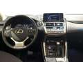 Lexus NX 300 300h Business 2WD Blanco - thumbnail 12
