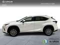 Lexus NX 300 300h Business 2WD Blanco - thumbnail 5