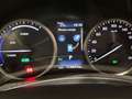 Lexus NX 300 300h Business 2WD Blanco - thumbnail 11
