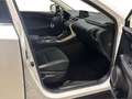 Lexus NX 300 300h Business 2WD Blanco - thumbnail 10