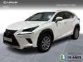 Lexus NX 300 300h Business 2WD Blanco - thumbnail 1