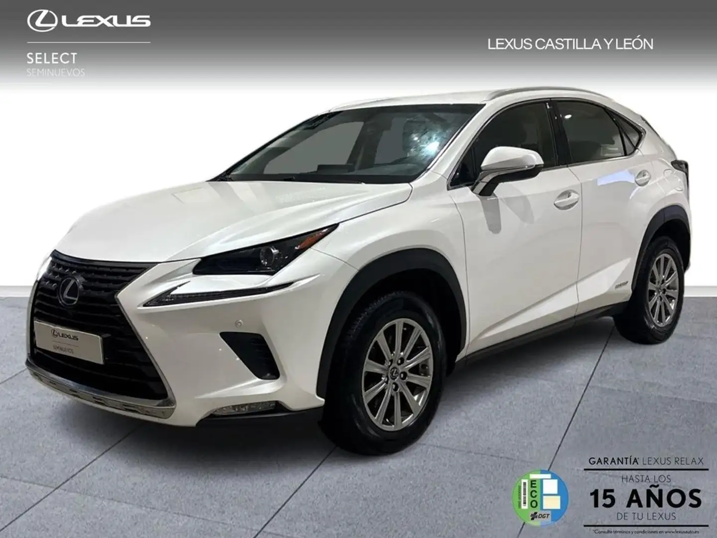 Lexus NX 300 300h Business 2WD Blanco - 1