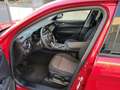 Alfa Romeo Stelvio 2.2 t Business rwd 160cv Km Certificati Rouge - thumbnail 5