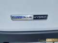 Ford Transit 310 2.0TDCi 130CV PIÙ IVA 22% Bianco - thumbnail 8