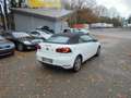 Volkswagen Golf Cabriolet Basis  Navi Klima Alu Blanc - thumbnail 2