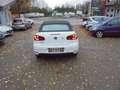 Volkswagen Golf Cabriolet Basis  Navi Klima Alu Blanc - thumbnail 7