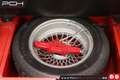 Triumph TR6 - Perfect Condition! - Rojo - thumbnail 23